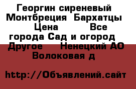 Георгин сиреневый. Монтбреция. Бархатцы.  › Цена ­ 100 - Все города Сад и огород » Другое   . Ненецкий АО,Волоковая д.